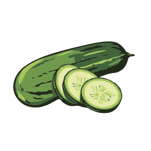 Fresh Cucumber