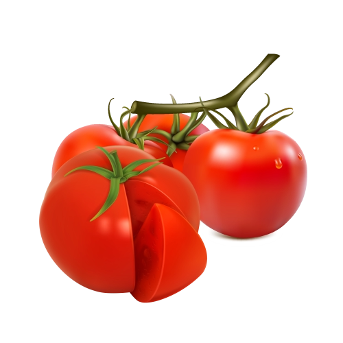 Fresh Tomato